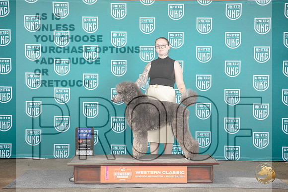 Poodle Standard Multi #112 Fri G1 Judge Matt Proctor__JP_1194_Longview WA_2024_HR3