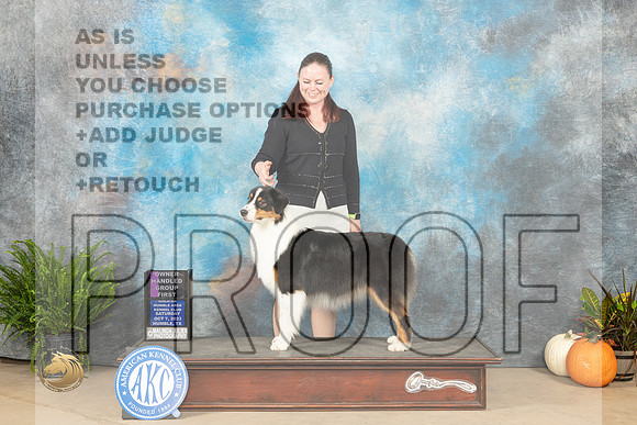 Australian Shepherd #6 Sat OHG1 Judge Jon Titus Steele_JP_6860_Humble2023_HR3