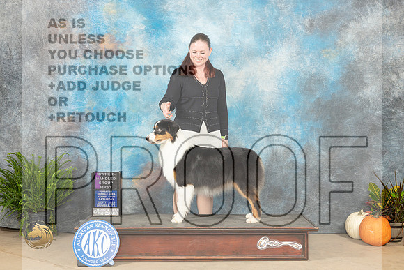 Australian Shepherd #6 Sat OHG1 Judge Jon Titus Steele_JP_6862_Humble2023_HR3