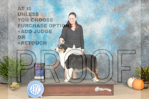 Australian Shepherd #6 Sat OHG1 Judge Jon Titus Steele_JP_6864_Humble2023_HR3