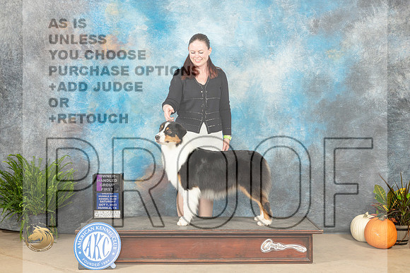 Australian Shepherd #6 Sat OHG1 Judge Jon Titus Steele_JP_6865_Humble2023_HR3