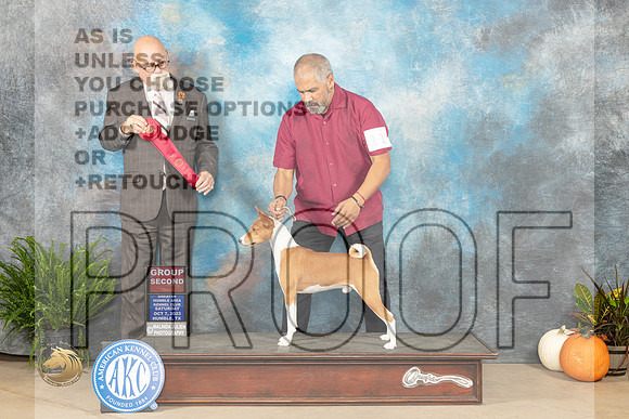 Basenji #11 Sat G2 Judge David Peat_JP_6717_Humble2023_HR3
