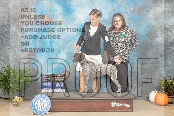 German Shorthaired Pointer #8 Sat OHG1 OHBronze Judge Ron Hornn_JP_6837_Humble2023_HR3