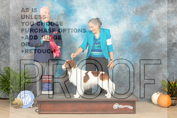 Kooikerhondje #5 Sat G2 Judge Steve Keating_JP_6747_Humble2023_HR3