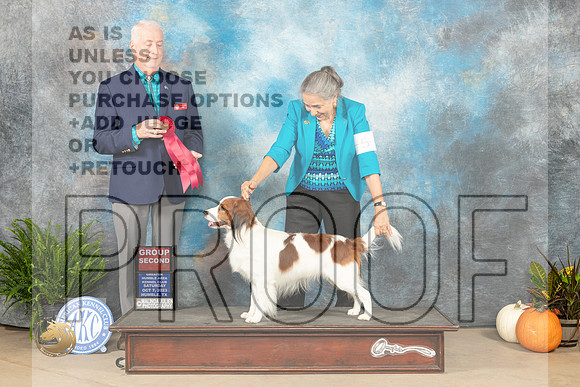 Kooikerhondje #5 Sat G2 Judge Steve Keating_JP_6752_Humble2023_HR3