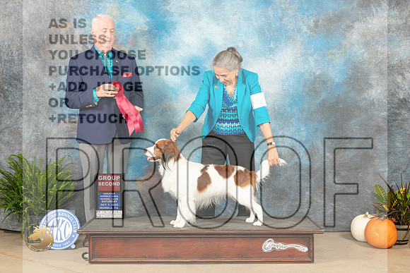 Kooikerhondje #5 Sat G2 Judge Steve Keating_JP_6755_Humble2023_HR3
