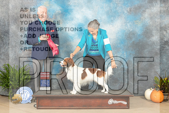 Kooikerhondje #5 Sat G2 Judge Steve Keating_JP_6756_Humble2023_HR3