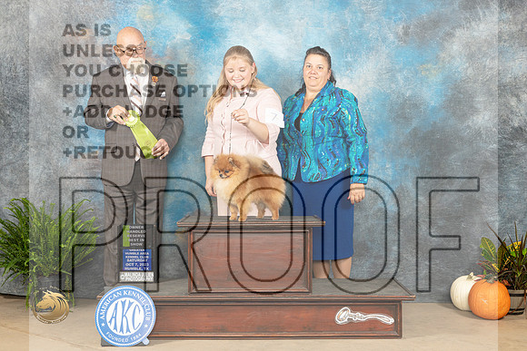 Pomeranian #7 Sat OHRBIS Judge David Peat_JP_6855_Humble2023_HR3