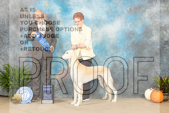 Saluki #15 Sat G1 Judge David Peat_JP_6721_Humble2023_HR3