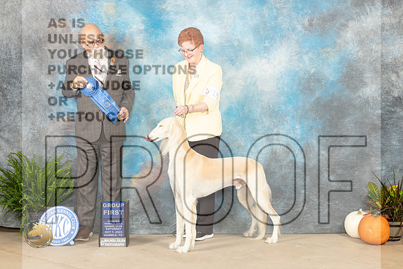 Saluki #15 Sat G1 Judge David Peat_JP_6723_Humble2023_HR3