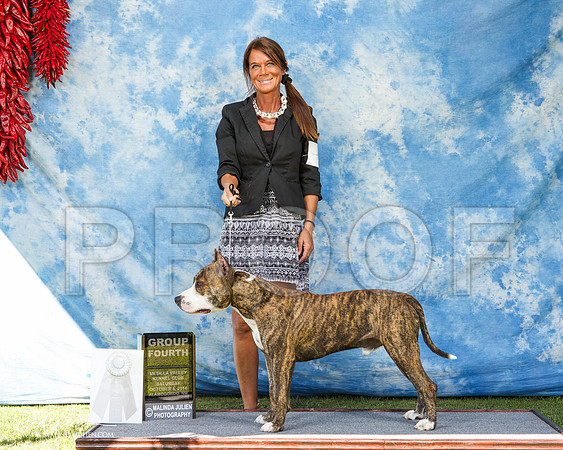_ST_3045-AlamogordoOct2014-HR3