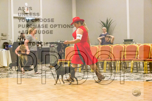 Manchester Terrier MTOY Candids-JJL_2231-Hstn2022_HR3