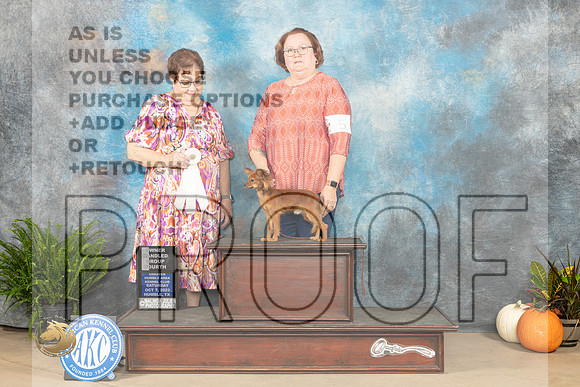 Russian Toy #5 SAT OHG4 Judge Pamela Peat_JP_6547_Humble2023_HR3