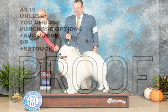 Samoyed SAT  #5 G2 Judge David Peat_JP_6603_Humble2023_HR3