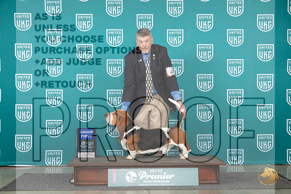 Basset Hound # Sat G1 Judge Diane Price__JP_2316_Premier_2024_HR3