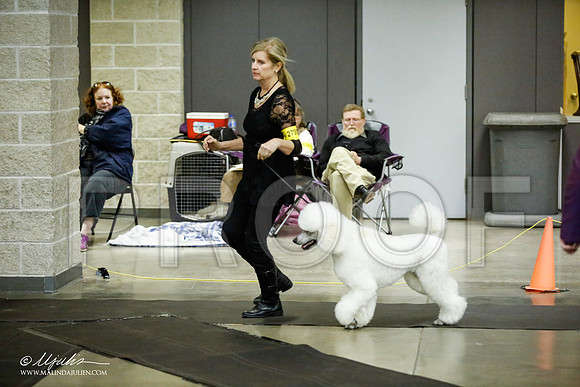 _JJ_5903-BeltonJan2015IABCA-HR3