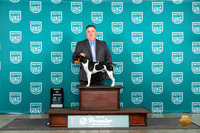 Rat Terrier #280 Fri BOB Judge Lori Sargent