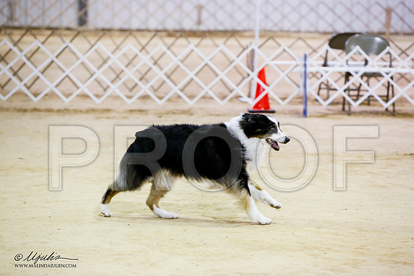 _JN_7020-ASCACollegeStationNov2014-HR3