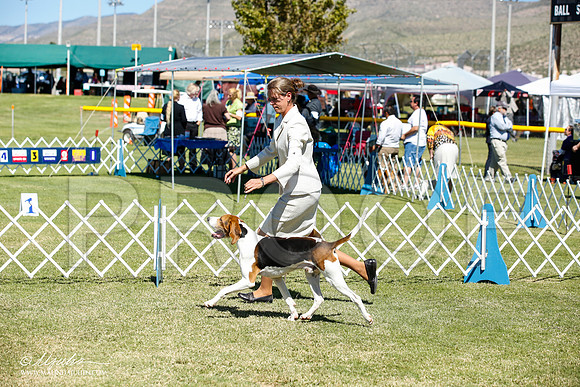 _JN_5211-AlamogordoOct2014-HR3