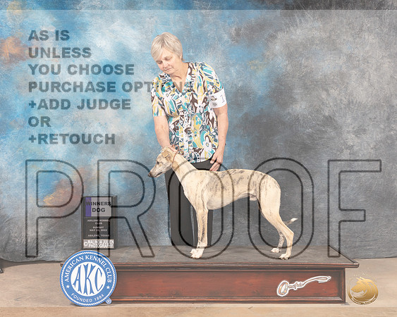 Whippet #15 Sun WD Judge Pat Trotter-MMJ_4412-Abilene2022-HR3