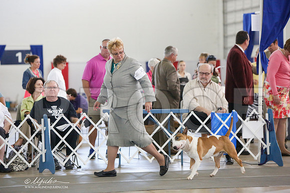 _JJ_1017-DallasJul2014-HR3