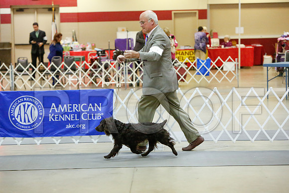 _JJ_2504-AmarilloSept2014-HR3
