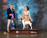 Brittany #11 Wed WD Major Judge David Haddock
