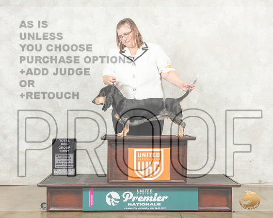Basset Bleu de Gascogne #232 Sat TDG1 Judge Pamela Perdue__MJ_8757_Premier_2022_HR3