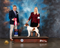 Brittany #6 Wed BIS BO Judge David Haddock