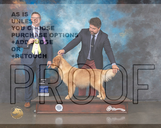 Golden #16 Wed Best In Sweeps Judge Derek Beatty-MMJ_0007-HOUSTON21-HR3