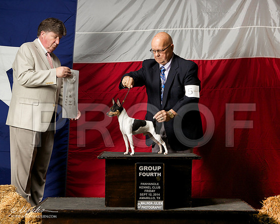 _ST_1549-AmarilloSep2014-HR3