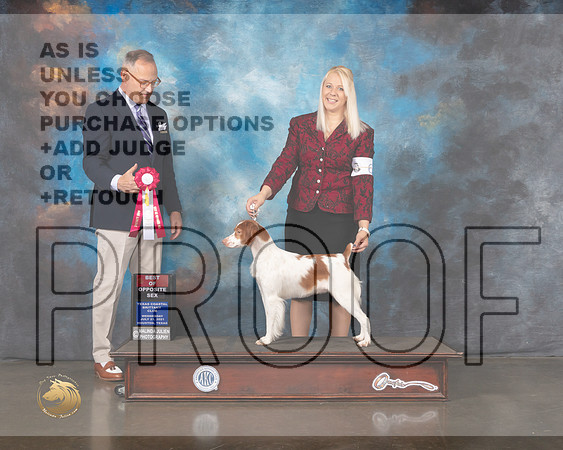 Brittany #6 Wed BIS BO Judge David Haddock-MMJ_0019-HOUSTON21-HR3