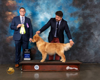 Golden #16 Wed Best In Sweeps Judge Derek Beatty