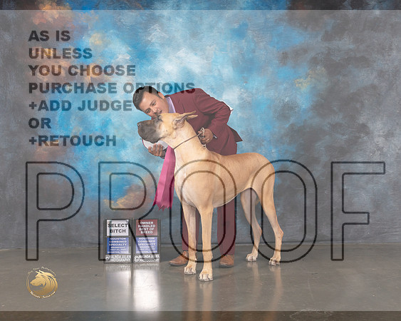 Great Dane #54 Wed SB OHBOB Judge Cathy De La Garza-MMJ_0028-HOUSTON21-HR3