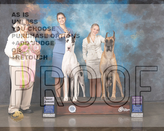 Great Dane J611-R J604 BJ Judge Cathy De La Garza-MMJ_0050-HOUSTON21-HR3
