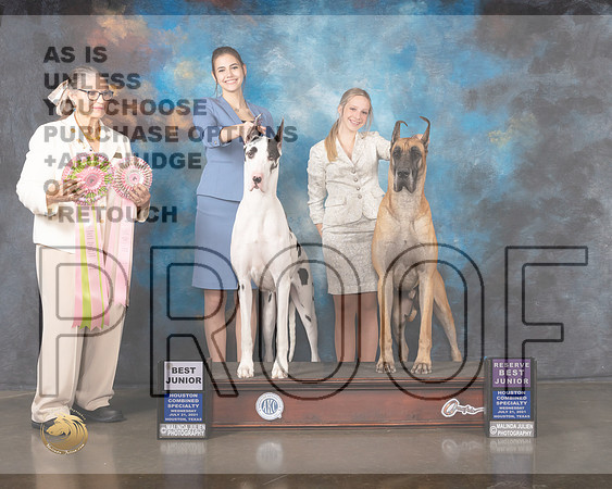 Great Dane J611-R J604 BJ Judge Cathy De La Garza-MMJ_0051-HOUSTON21-HR3
