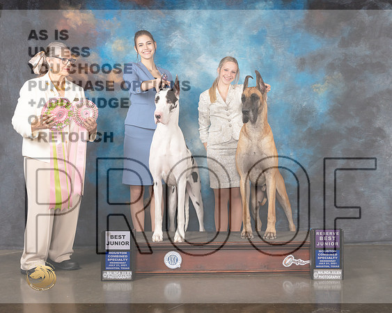 Great Dane J611-R J604 BJ Judge Cathy De La Garza-MMJ_0053-HOUSTON21-HR3