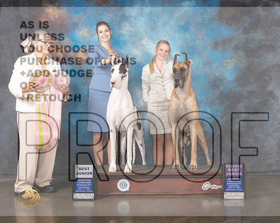 Great Dane J611-R J604 BJ Judge Cathy De La Garza-MMJ_0055-HOUSTON21-HR3