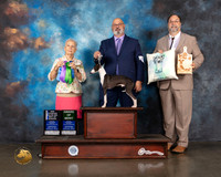 Italian Greyhound #23 Wed WD BOW MAJOR AOM Judge Erika Moureau