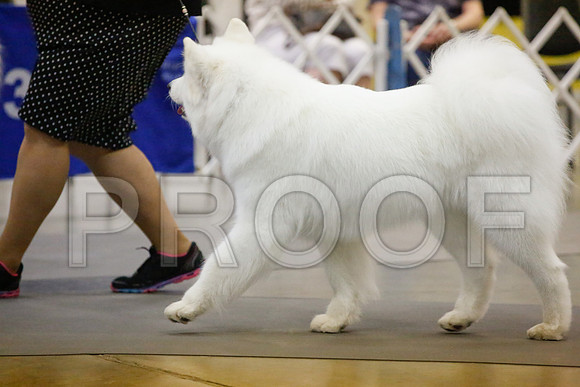 _JJ_9494-AmarilloSept2014-HR3