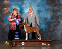 Boxer #23 Wed BOW Judge Roberta Rettick