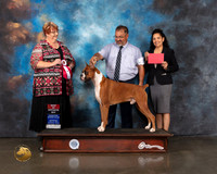 Boxer #25 Wed BOS Judge Roberta Rettick