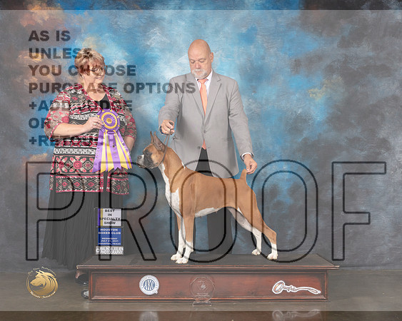 Boxer #62 Wed BISS Judge Roberta Rettick-MMJ_0104-HOUSTON21-HR3