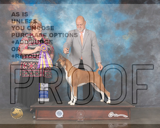 Boxer #62 Wed BISS Judge Roberta Rettick-MMJ_0106-HOUSTON21-HR3