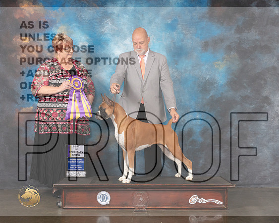 Boxer #62 Wed BISS Judge Roberta Rettick-MMJ_0107-HOUSTON21-HR3