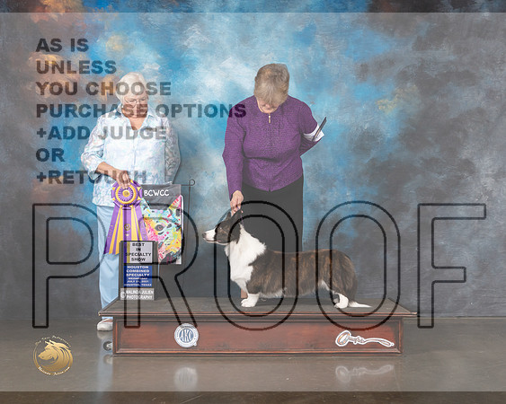 Cardigan Welsh Corgi #42 Wed BISS Judge Bonnie Money-MMJ_0155-HOUSTON21-HR3