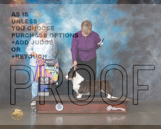 Cardigan Welsh Corgi #42 Wed BISS Judge Bonnie Money-MMJ_0159-HOUSTON21-HR3