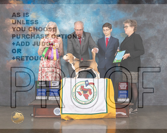 Beagle 13 #26 Wed BV OH Specialty Judge Molly Martin-MMJ_0289-HOUSTON21-HR3