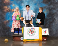 Beagle 13 #28 Wed WB BOBP Major Judge Molly Martin