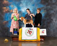 Beagle 15 #15 Wed AOM Judge Molly Martin